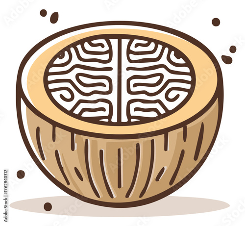 Hand drawn illustration of a fresh halved tropical coconut with textured flesh and natural detail