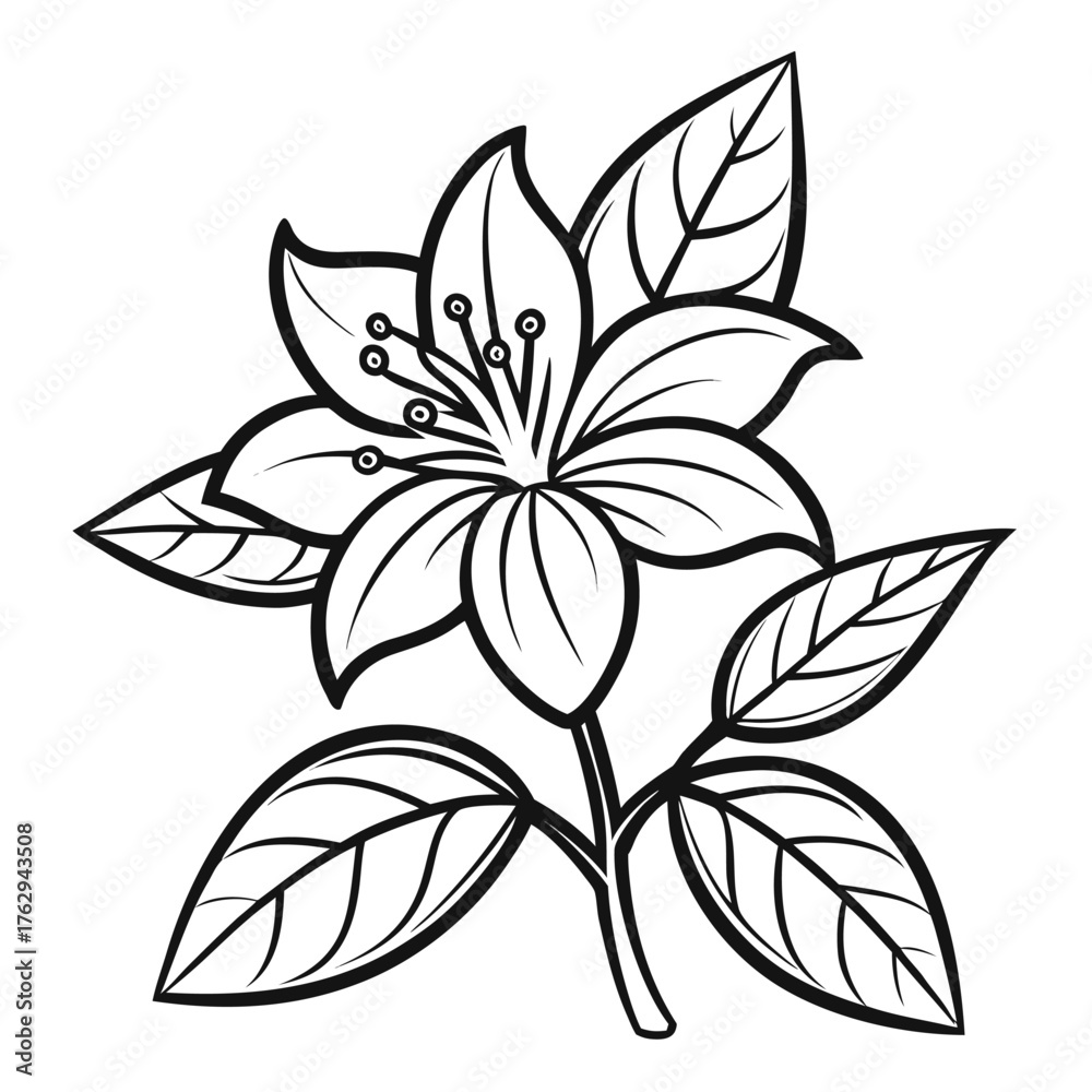 Obraz premium abelia flower line art on white background