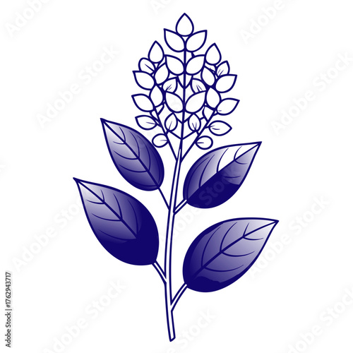  delta blues vitex flower  line rat on white background