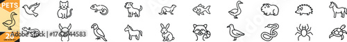 Clean line icons representing various pets and animal accessories vector
