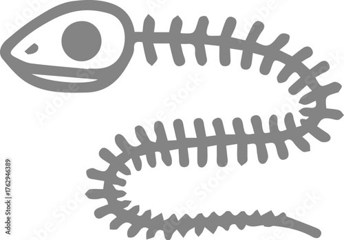 Grey Fish Skeleton Illustration a Simple Vertebrate Bone Structure Design Element