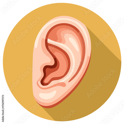 Human ear anatomy illustration in a circle with flat design style and long shadow