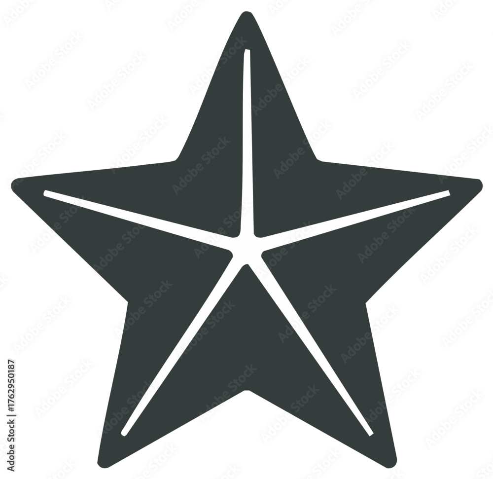 Obraz premium Five Point Star Shape Illustration Gray With White Rays Graphic Object Shape