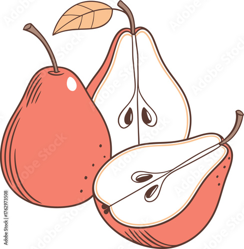 Red ripe pears vector illustration set with whole pear, half cut, and quarter cut showing seeds, a fresh fruit and healthy eating concept in a hand-drawn doodle style.