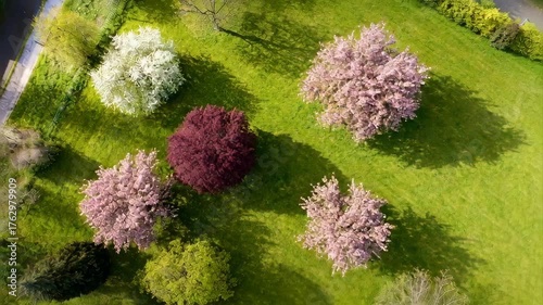 Aerial View Of A Lush Green Lawn With Blooming Trees In Various Shades Of Pink And White On A Bright Sunny Day