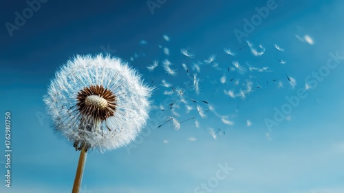 A close-up of a dandelion releasing its seeds into the air against a clear blue sky, symbolizing freedom, nature, and the gentle flow of wind.