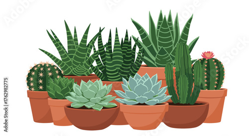 Diverse Collection of Potted Succulents and Cacti Arrangement.