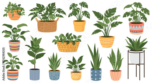 Collection of various potted plants, showcasing diverse foliage and textures, perfect for home decor.