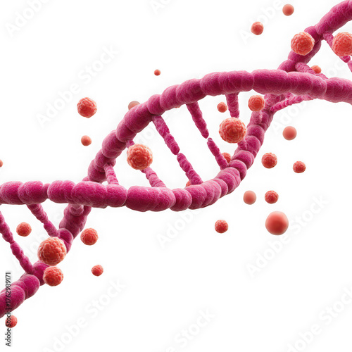 Detailed 3d rendering of a pink dna double helix structure with small orange spheres representing genetic material isolated on transparent background