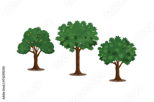 Lush Trio: Three vibrant trees stand against the backdrop, Their leaves create a visual symphony of nature's beauty, exuding serenity and the vitality of the environment.