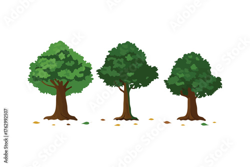 Trio of Trees in Nature: A charming visual of three vibrant trees standing tall. Their lush, green foliage captures the essence of life and serenity.