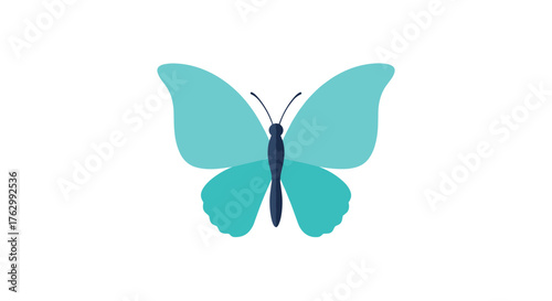 Beautiful Blue Butterfly with Delicate Wings and Antennae.