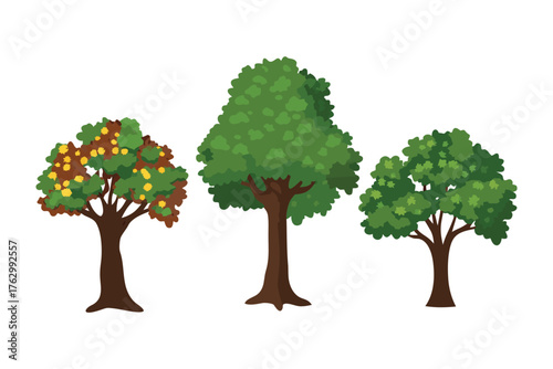 Array of Trees Illustration: Three distinct trees stand proudly against a clear sky, each offering a unique display of foliage and character, celebrating the diversity and beauty of nature.