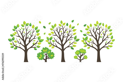 Eco-friendly forest scene: An idyllic scene of flourishing trees. A perfect visual for sustainable, and eco-friendly design