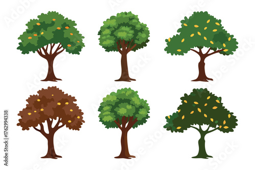 Various Trees Collection: A visually appealing array of trees, each showcasing distinctive characteristics through diverse foliage and trunk aesthetics.