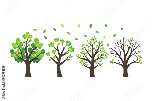 The Four Seasons: A visual journey through the cycle of life, depicting the changing seasons with vibrant green and bare trees, and fallen leaves.