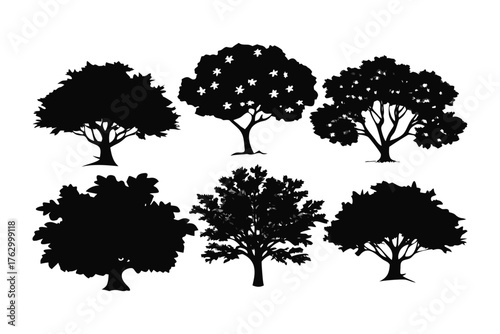 Tree Silhouettes: A collection of six diverse tree silhouettes, showcasing various shapes and forms against a backdrop, representing the beauty and variety of nature's arboreal wonders.