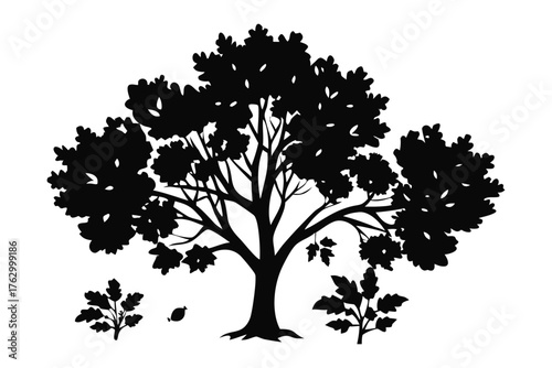 Nature's Silhouette: The sturdy silhouette of a majestic tree stands proudly against the light, evoking a sense of calm and the serene elegance of the natural world.