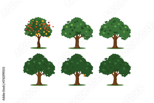 Tree in Stages of Growth: Depicting nature's resilience, these vibrant trees display a comprehensive journey through various phases, illustrating the cyclical dance of life and seasons.