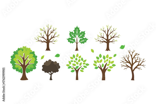 Diverse Trees: A vibrant collection of trees showcases a variety of shapes and styles.