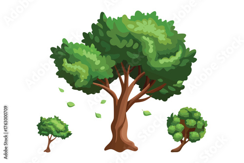 Evergreen Illustration: An illustrated representation of various evergreen trees, each displaying the vibrant green of the foliage and sturdy brown of their trunks.