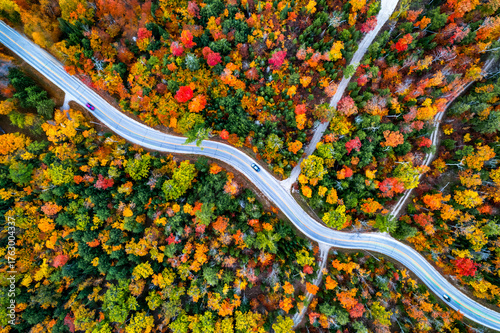Autumn Journey to Washington Island – Scenic Aerial View of Winding Road and Fall Foliage in Door County