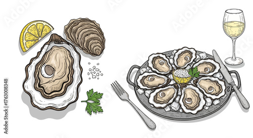 A detailed illustration of fresh raw oysters on the half shell, served on a platter with ice, lemon, and white wine.