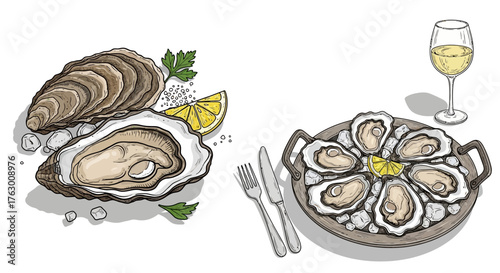 Illustration of fresh oysters, some open and some closed, served with lemon, parsley, and a glass of white wine, presented on a platter with silverware.