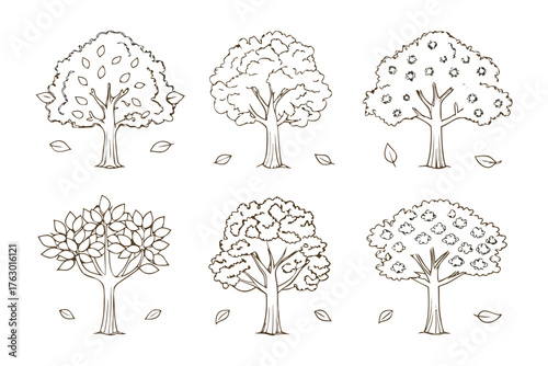 Tree Sketch: A collection of six various tree sketches with different foliage structures. The sketches create a sense of simplicity and showcase various natural forms.