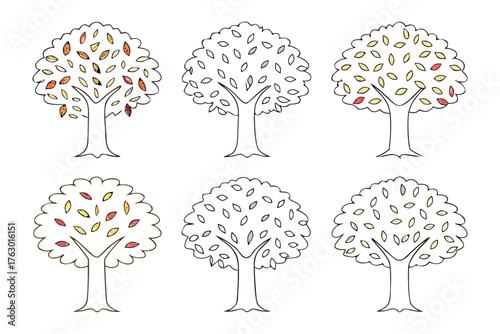 Autumnal Tree Transitions: A visual symphony of six trees showcases the graceful transformation of a singular tree through the seasons, from lush green foliage to the vibrant hues of autumn. 
