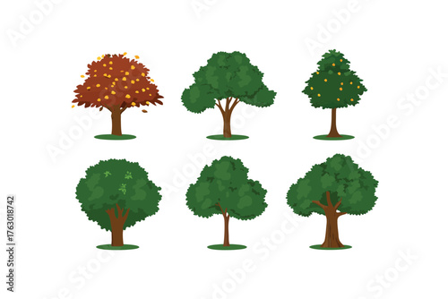 Diverse Trees in Nature's Canvas: A collection of various tree types, each with unique leaf structures and forms, illustrating the diversity of arboreal life and the harmony of nature.