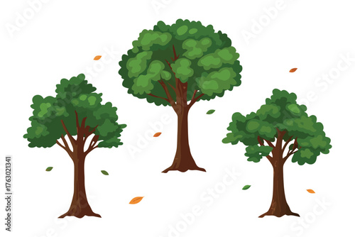 Nature's Trio: Three vibrant trees stand proudly, their lush green canopies reaching towards the sky, with scattered autumnal leaves adding a touch of seasonal charm.