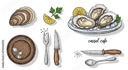 Artistic illustration of oysters with lemon, parsley, and serving utensils, ready to eat.