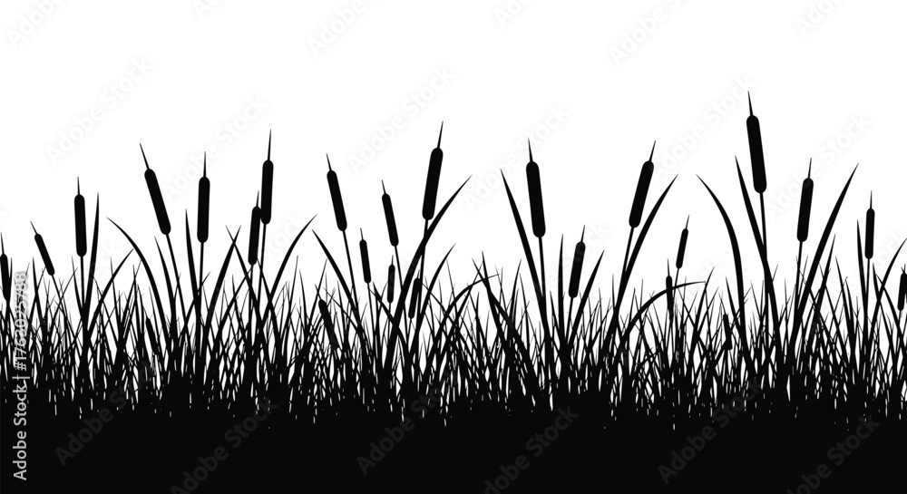 Fototapeta premium A silhouette of cattails and grass against a white background forming a natural border design element .