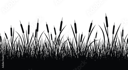 A silhouette of cattails and grass against a white background forming a natural border design element .
