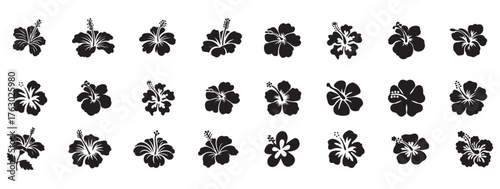 Hibiscus flower silhouettes set collection pack bundle black shape icon silhouette vector flat illustration design on white background
