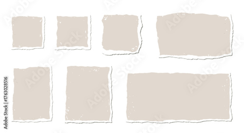 Seven torn paper pieces in various sizes and shapes against a plain white background in a flat lay .