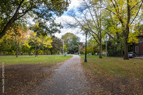 The colors of fall in Toronto nature