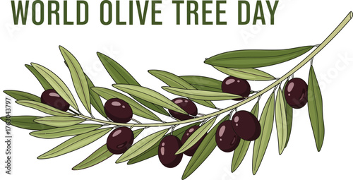 Olive branch with ripe olives for world olive tree day vector illustration