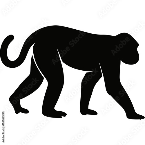 monkey silhouette