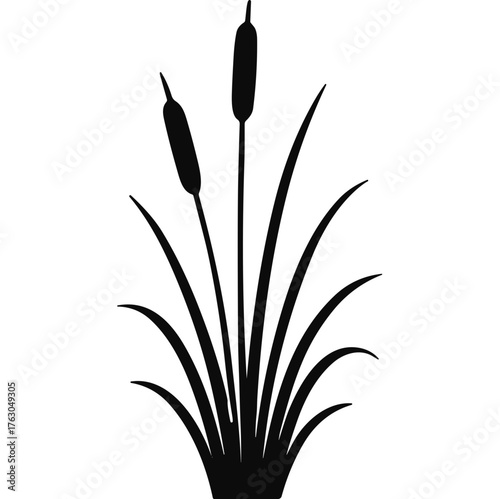 cattail plants silhouette