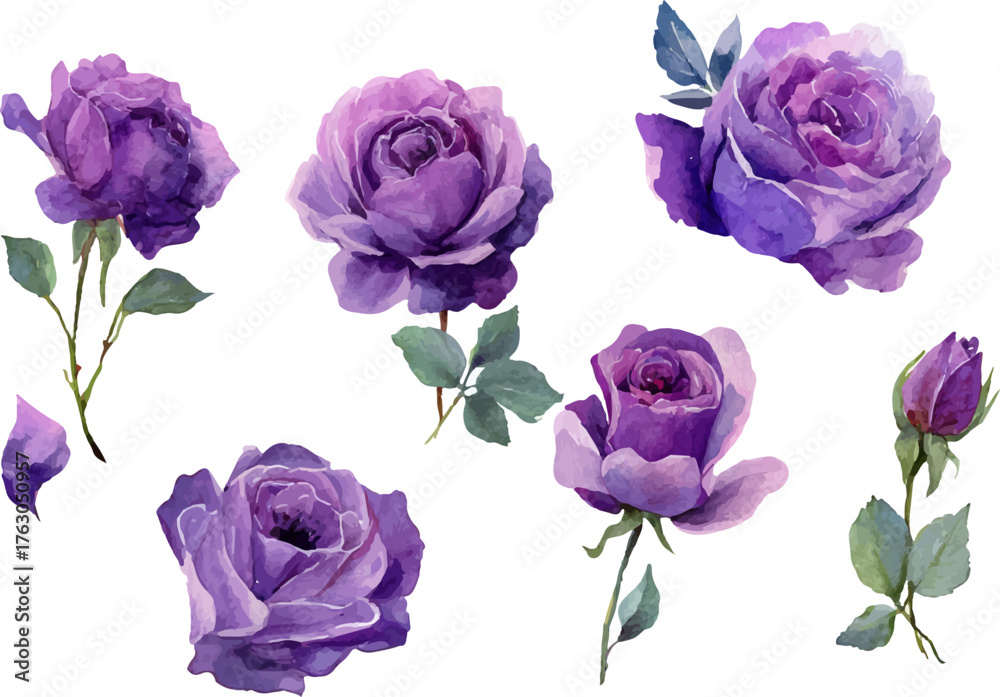 Fototapeta premium bouquet of roses