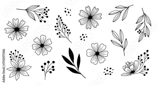 Set of floral elements hand-drawn botanical illustration with flowers leaves and berries vector design for decoration and design t