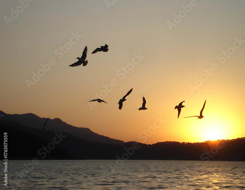 Aves volando en el Lago de Valle de Bravo 