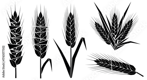 Set of wheat ears vector illustrations black glyph icons for agriculture and harvest concepts transparent background