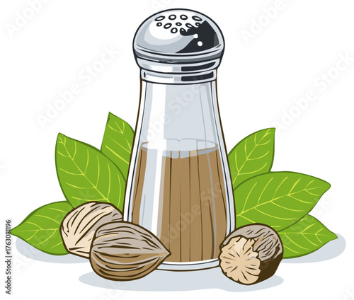 Nutmeg spice container with leaves and nuts, culinary seasoning illustration