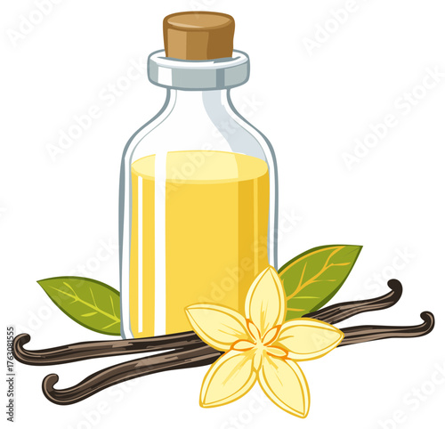 Glass bottle of vanilla extract with vanilla beans and flower illustration