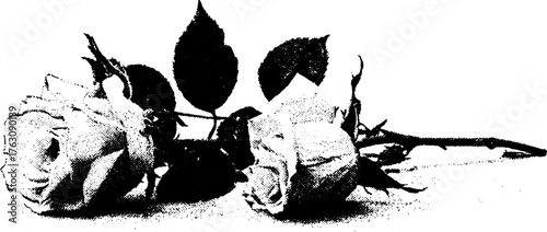 Grunge floral design in black and white halftone style for print and decor