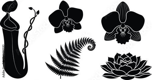 Elegant botanical silhouettes featuring carnivorous plants orchids ferns and succulents vector