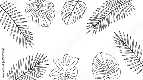 Tropical Leaf Border Design with Palm Fronds and Monstered Leaves Creating a Natural Frame